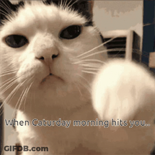 A Black And White Cat With The Words When Saturday Morning Hits You Below It GIF