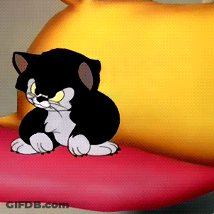 A Black And White Cat With Yellow Eyes Sits On A Pink Pillow GIF