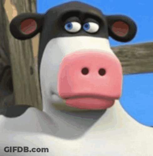 A Black And White Cow With A Pink Nose GIF