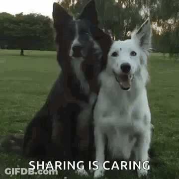 A Black And White Dog Are Sitting Next To Each Other In A Grassy Field . GIF