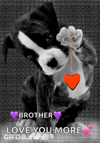 A Black And White Dog Holding A Red Heart With The Words " Brother Love You More " GIF
