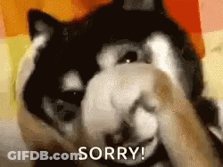 A Black And White Dog Is Covering Its Face With Its Paws And The Word Sorry Is On The Bottom . GIF