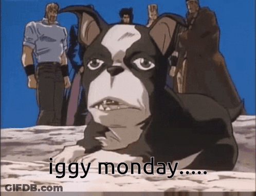 A Black And White Dog Is Laying On The Ground With The Words `` Iggy Monday '' Written Below It . GIF