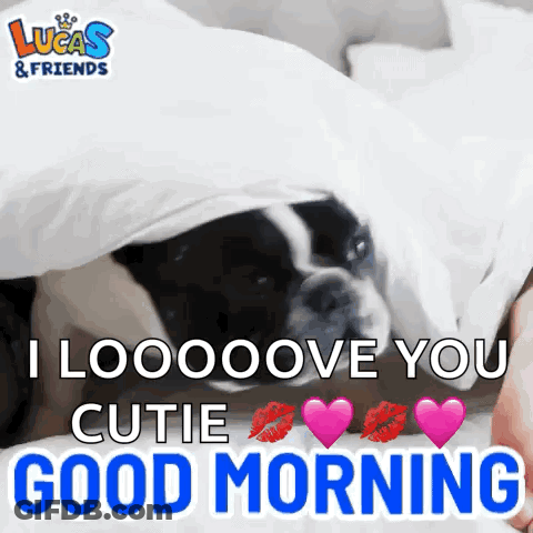 A Black And White Dog Is Laying Under A Blanket And Says Good Morning . GIF
