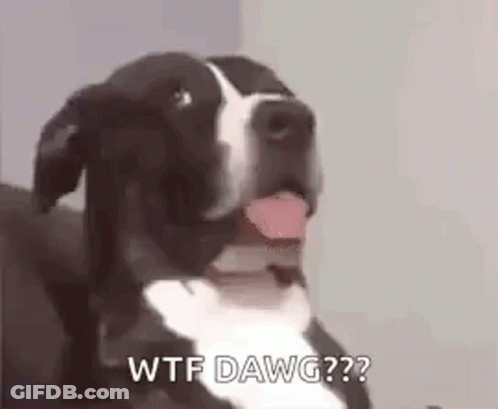 A Black And White Dog Is Sitting On A Couch With Its Tongue Hanging Out . GIF