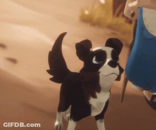 A Black And White Dog Standing Next To A Person GIF