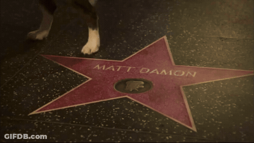 A Black And White Dog Standing Next To A Red Star That Says Matt Damon GIF