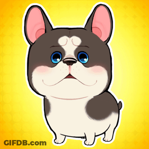 A Black And White Dog With Blue Eyes Is Sitting On A Yellow Background GIF