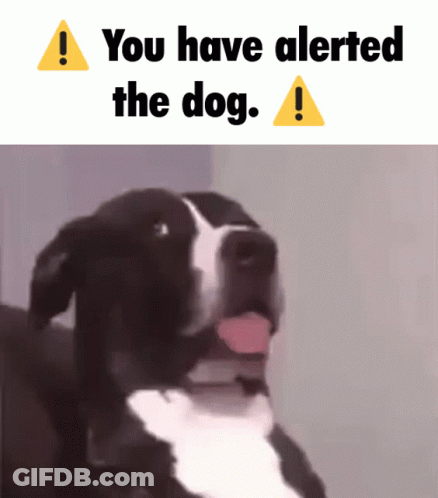 A Black And White Dog With Its Tongue Hanging Out And The Words You Have Alerted The Dog GIF