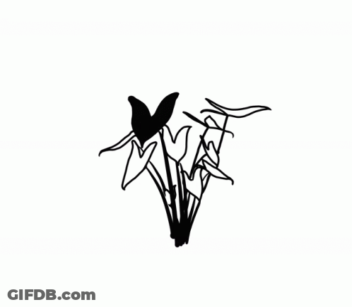 A Black And White Drawing Of A Bird 'S Wings On A White Background GIF
