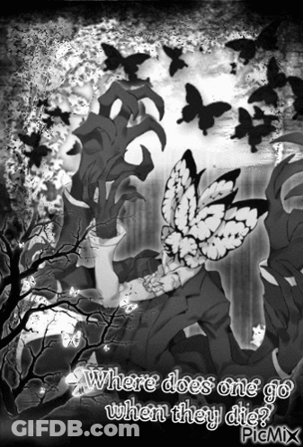 A Black And White Drawing Of A Butterfly With The Words " Where Does One Go When They Die " At The Bottom GIF