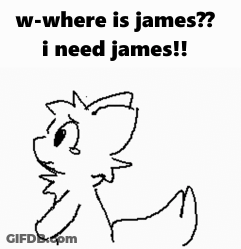 A Black And White Drawing Of A Cat Asking Where Is James . GIF