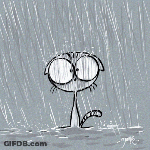A Black And White Drawing Of A Cat In The Rain With The Name Marko On The Bottom GIF