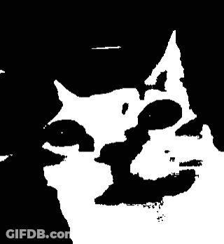A Black And White Drawing Of A Cat 'S Head GIF