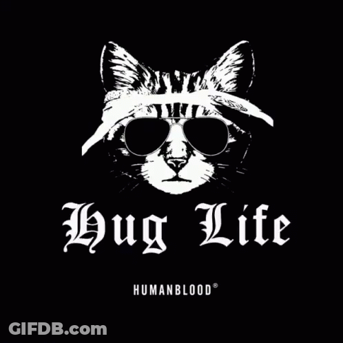 A Black And White Drawing Of A Cat Wearing Sunglasses And A Bandana Says Hug Life GIF