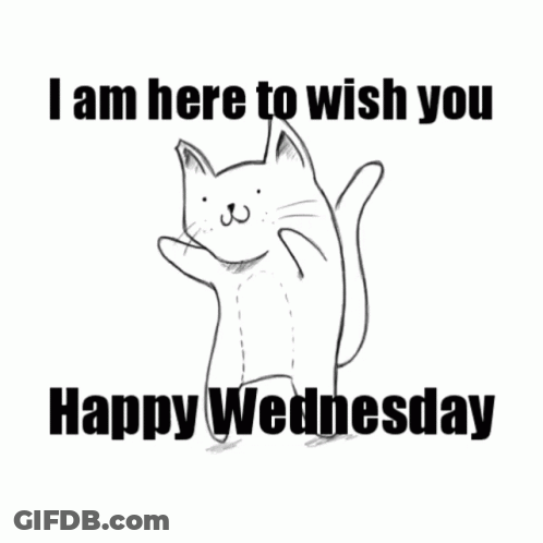 A Black And White Drawing Of A Cat With The Words " I Am Here To Wish You Happy Wednesday " GIF
