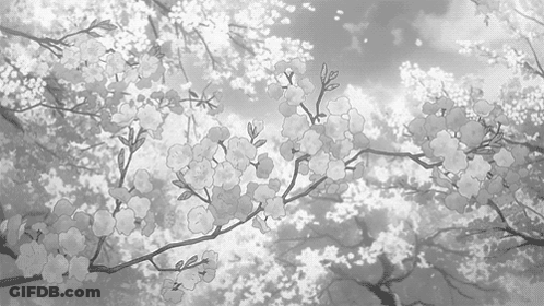 A Black And White Drawing Of A Cherry Blossom Tree With Lots Of Flowers GIF