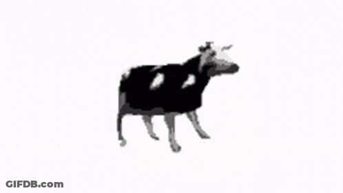 A Black And White Drawing Of A Cow Standing On Its Hind Legs On A White Background . GIF