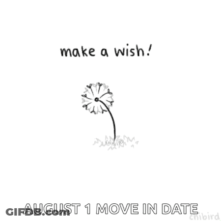 A Black And White Drawing Of A Dandelion With The Words `` Make A Wish ! '' And `` August 1 Move In Date '' . GIF