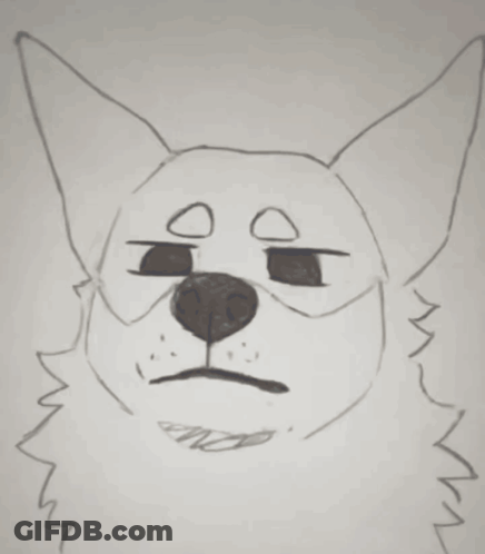 Black And White Dog Smirking GIF