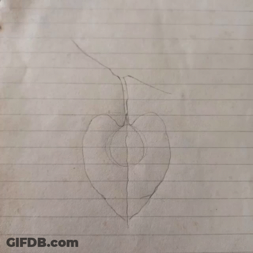 A Black And White Drawing Of A Leaf On A Piece Of Paper GIF