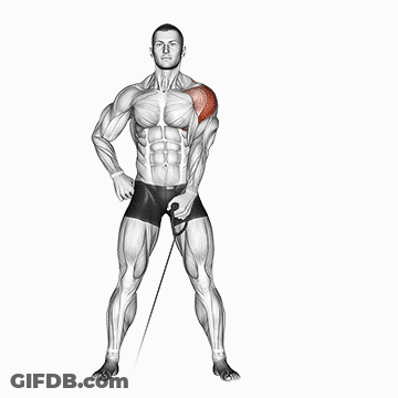 A Black And White Drawing Of A Man Doing A Shoulder Exercise With A Resistance Band . GIF