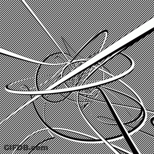 A Black And White Drawing Of A Maze Of Lines And Circles GIF