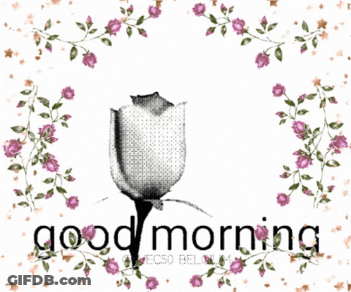 A Black And White Drawing Of A Rose With The Words Good Morning GIF