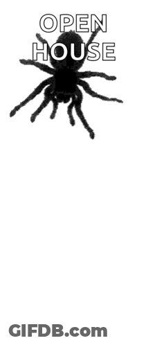 A Black And White Drawing Of A Spider With The Words Open House Above It . GIF