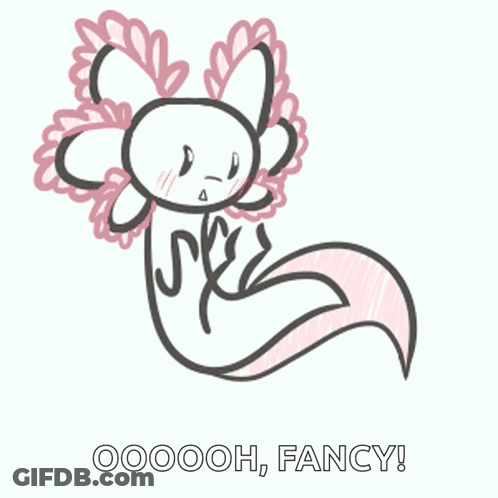 A Black And White Drawing Of An Axolotl With The Words Ooooh Fancy Below It GIF