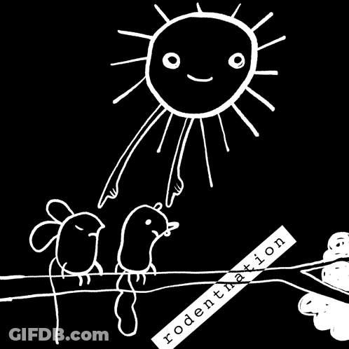 A Black And White Drawing Of Birds And A Sun With Rodentnation Written Underneath GIF