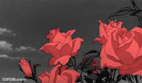A Black And White Drawing Of Red Roses GIF
