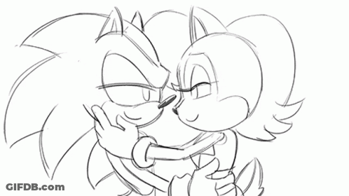 Black And White Sonic And Sally Hugging GIF