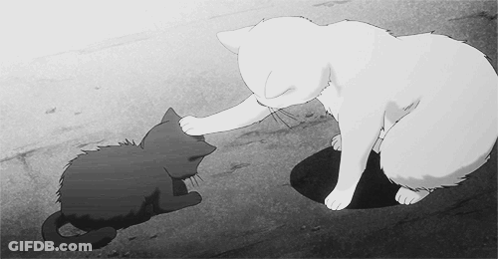 A Black And White Drawing Of Two Cats Playing With Each Other GIF