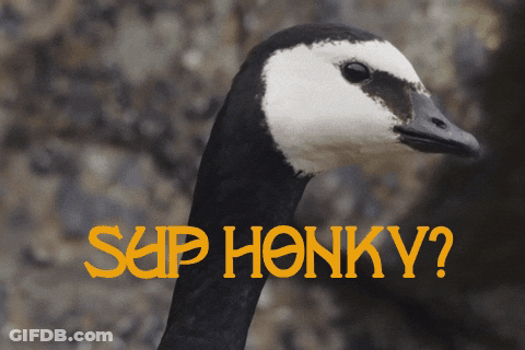 A Black And White Goose With The Words " Sup Honky " Behind It GIF