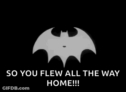 A Black And White Image Of A Batman Silhouette With The Words `` So You Flew All The Way Home ! '' GIF