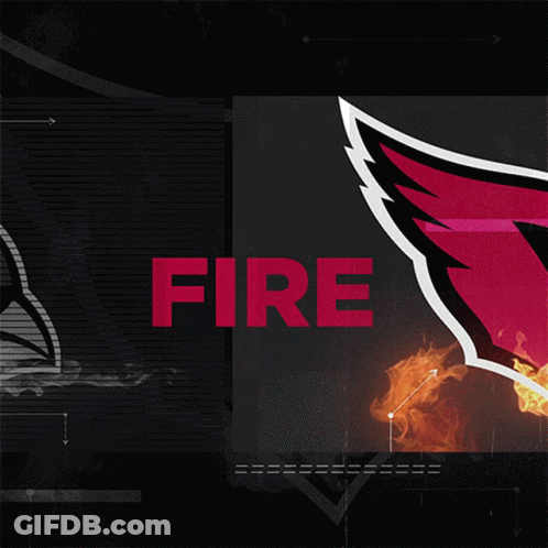 A Black And White Image Of A Bird With The Word Fire In Red GIF