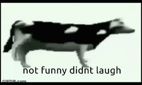 A Black And White Image Of A Cow With The Words `` Not Funny Didn 'T Laugh '' Written Below It . GIF
