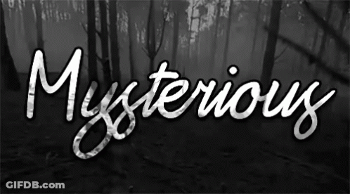 A Black And White Image Of A Forest With The Word Mysterious Written In White GIF