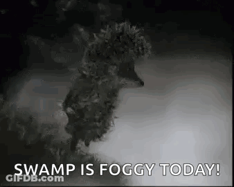 A Black And White Image Of A Hedgehog In The Fog With The Words `` Swamp Is Foggy Today '' . GIF