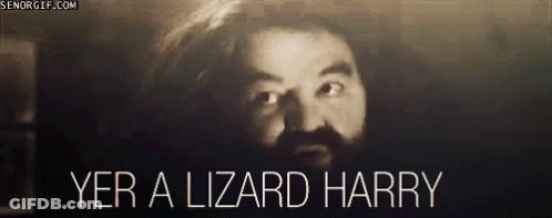 A Black And White Image Of A Man With A Beard And The Words Yer A Lizard Harry . GIF
