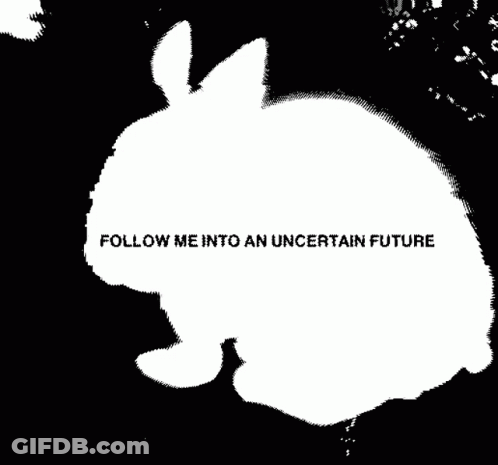 A Black And White Image Of A Rabbit With The Words Follow Me Into An Uncertain Future Written Below It GIF
