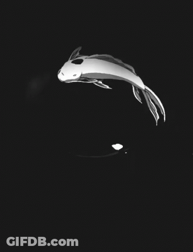 A Black And White Image Of Two Fish Swimming In A Circle GIF