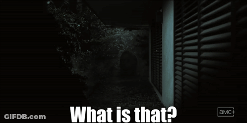 A Black And White Image With The Words What Is That On It GIF
