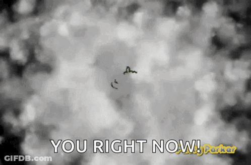 A Black And White Image With The Words You Right Now On It GIF
