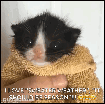 A Black And White Kitten Wrapped In A Sweater Is Being Held In Someone 'S Hand . GIF
