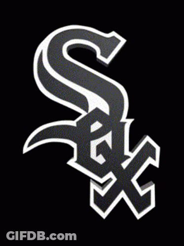 A Black And White Logo With The Letter S And X GIF