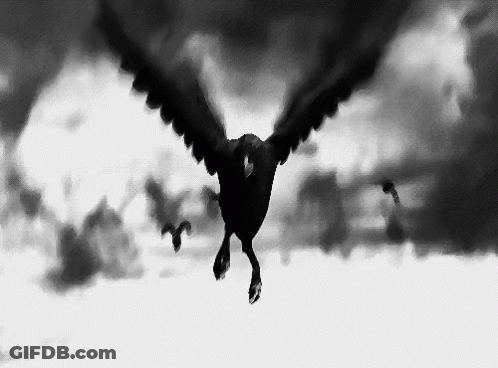 A Black And White Painting Of A Bird Flying Through The Air GIF