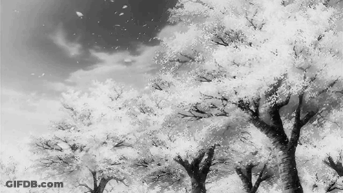A Black And White Painting Of Cherry Blossom Trees GIF