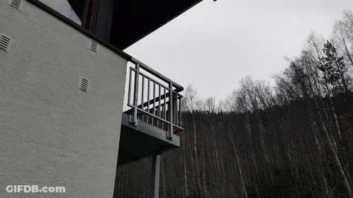 A Black And White Photo Of A Balcony Overlooking Trees GIF